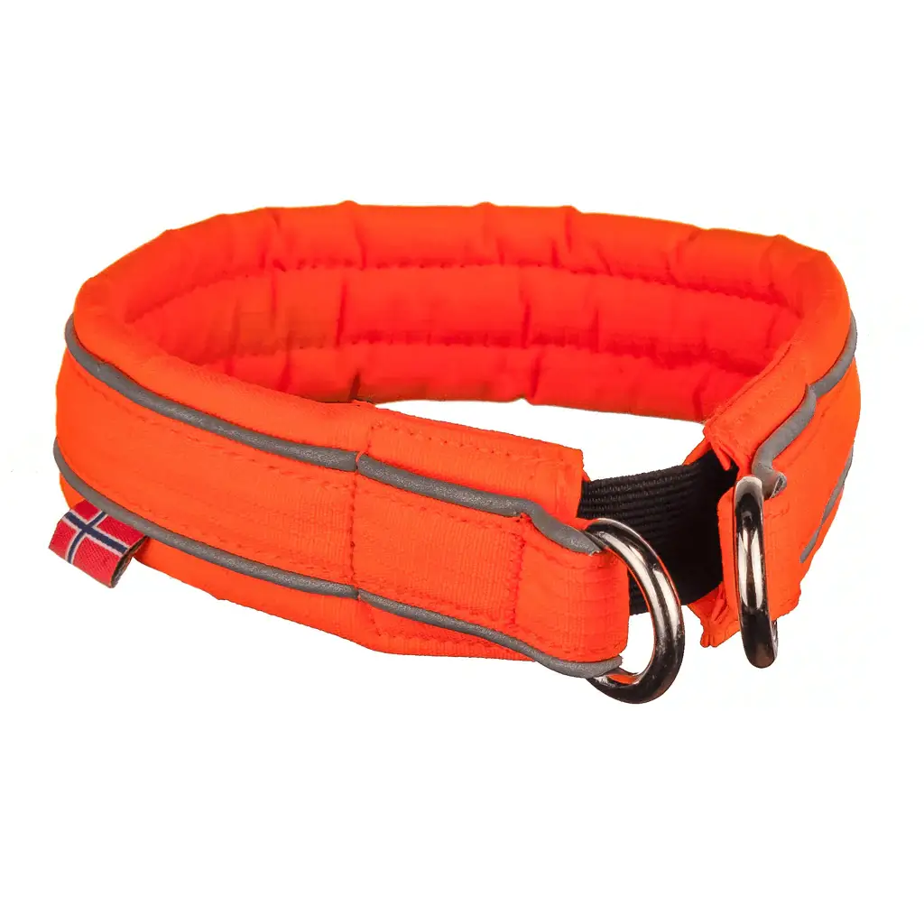 Zgardă de siguranță Non-stop dogwear Safe – PAWTRAIN